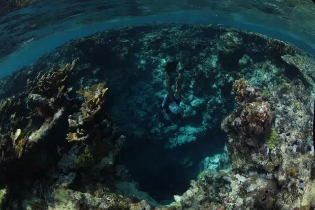 栀子落星海